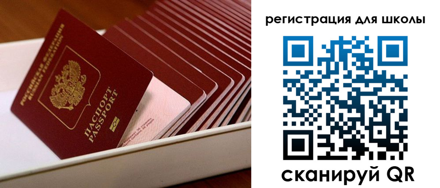 прописка гарантия в Ясногорске